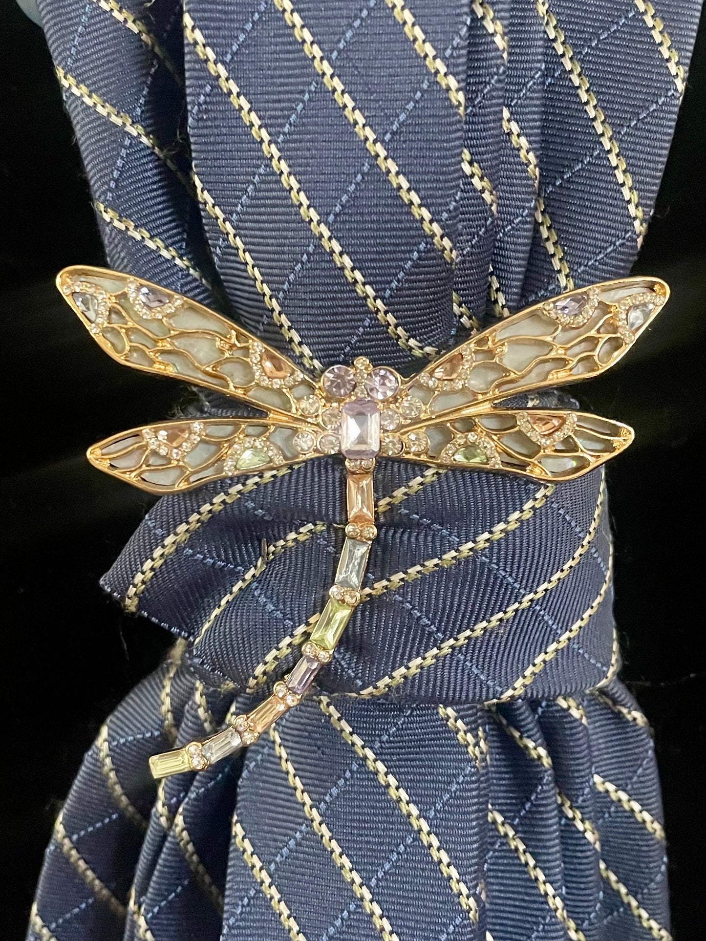 Dragonfly Skies Necktie Necklace