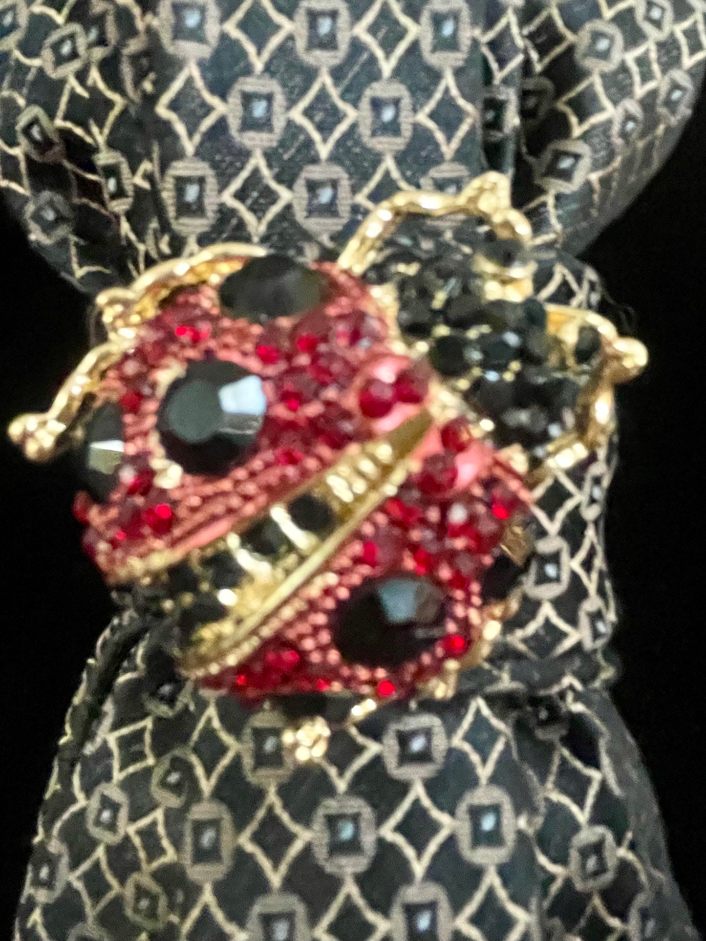 Lucky Ladybug Necktie Necklace